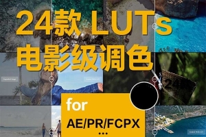【调色预设】精选24款电影级调色好莱坞MV视频调色预设FCPX/达芬奇/AE/Pr调色滤镜