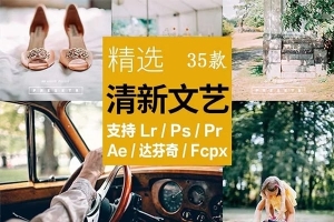 【调色预设】精选35款清新文艺日系森系滤镜PR/PS/FCPX/达芬奇/AE/Lut/LR预设