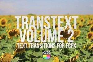 【FCPX插件】64组文字大标题镂空遮罩动画转场插件 Pixel Film Studios – TransText Vol.2