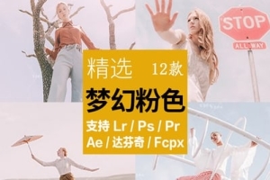 【调色预设】12款梦幻粉色可爱少女照片摄影调色LR预设LUT预设