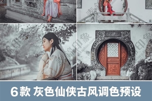 【调色预设】6款灰色仙侠风古风汉服灰调滤镜调色预设LR/PS/PR达芬奇FCPX手机APP滤镜调色LUT