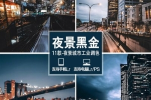 【调色预设】17套185款黑金胶片工业风城市街拍夜景人像摄影调色视频调色LUT预设