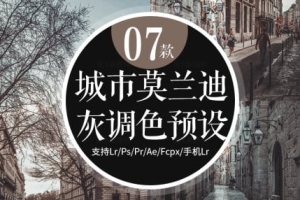 【调色预设】7款城市莫兰迪高级灰ins街拍旅拍调色预设LR/PS/FCPX手机APP滤镜PR调色LUT