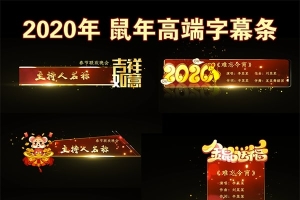【视频素材】32款2020新春晚会字幕条人名条动画带alpha通道