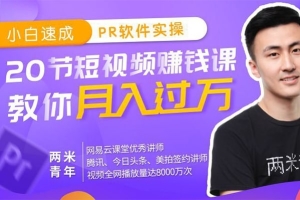 【视频教程】20节短视频赚钱课小白速成PR软件实操，教你月入过万！