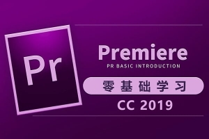 【视频教程】零基础全面学习PremierePro CC2019 剪辑、动画制作、字幕、特效
