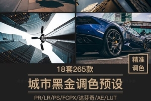 【调色预设】265款工业风城市黑金夜景旅街拍胶片人像摄影后期调色LR预设LUT预设