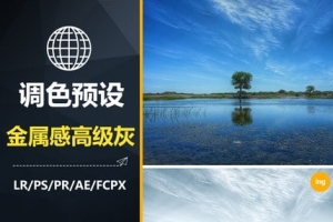 【调色预设】1款LR预设PS纪实HDR人文金属感高级灰FCPX手机APP滤镜PR调色LUT/ACR