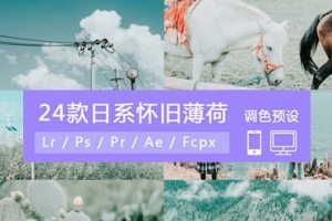 【调色预设】24款LR预设PS日系复古海边文艺胶片PS调色PR/FCPX/达芬奇手机LUT滤镜