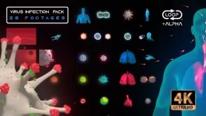【4K视频素材】28个病毒细菌感染人体器官肺部咳嗽生病医疗生物科技感HUD循环动画 Virus Infection Medical HUD Body Pack