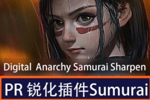 【AE/PR插件】一键智能视频补帧清晰锐化高清插件 Digital Anarchy Samurai Sharpen Video v1.1 Win汉化版