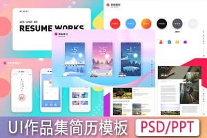 【UI模板】月入3万的UI设计师作品集模板，内容一键替换