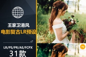 【调色预设】31款LR预设王家卫电影复古调色港风视频PR/PS/FCPX/达芬奇/AE/LUT滤镜