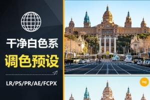 【预设】6款LR预设PS北欧风白色ins室内人像旅拍手机APP滤镜FCPX/PR调色LUTs预设