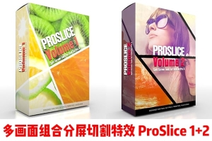 【FCPX插件】100种专业视频多画面组合屏幕分屏切割特效 Pixel Film Studios – ProSlice/ProSlice Volume 2 汉化版