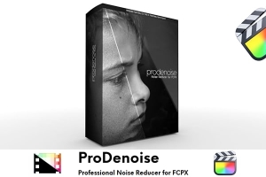 【FCPX插件】专业视频降噪颗粒噪点去除特效插件 Pixel Film Studios – ProDenoise 中文版
