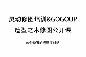 【视频教程】刘杨2016灵动修图培训&GOGOUP 造型之术修图公开课