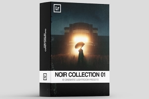 【LR预设】10款经典暗调弱光微光夜景灯光摄影调色Lightroom预设 Noir Collection 01_Lightroom Presets