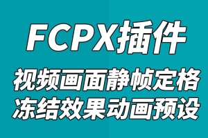 【FCPX插件】视频画面静帧定格冻结效果动画预设中文插件+使用教程