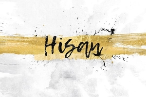 【4K视频素材】56种水墨泼洒飞溅转场特效4K视频动画 Hisan Ink Splash Transitions