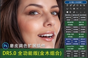 【PS插件】全新DR5.0全功能磨皮美妆工笔画插件PS集成面板