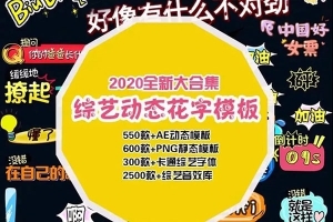 3000+娱乐综艺节目搞怪可爱花字动画制作AE模板音效PSD源文件PNG素材合集