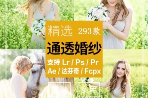 【调色预设】精选293款清新通透婚纱电影预设 LR/PR/PS/FCPX/达芬奇/AE/LUT预设