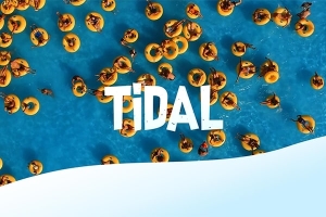 【4K视频素材】100个流体溶解有趣弹性蒙板遮罩蒙版4K动画 Tidal