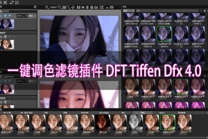 【PS插件】专业一键调色滤镜插件 DFT Tiffen Dfx 4.08 Win汉化版 内置上千种调色特效