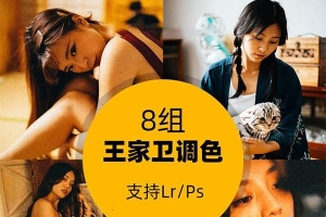 【PS/LR预设】8款王家卫电影胶片复古港风人像调色滤镜PS/LR调色预设