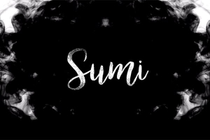 【4K视频素材】64个水墨烟雾散开晕染慢动作4K转场合成动画 Sumi Ink Video Transitions