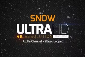 【4K频素材】冬天下雪场景雪花飘落4K环动画含透明通道 Snow