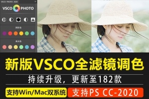【PS插件】网红文艺小清新VSCO全滤镜转PS插件电脑版，一键调色完美预设更新至182款