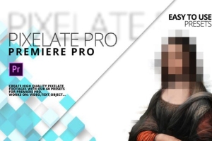 【PR预设】100种马赛克像素化打码视觉特效 Pixelate Pro