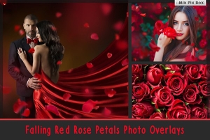 【PNG素材】44张高清玫瑰花瓣叠加合成前景免抠素材 Falling Rose Petals Photo Overlays