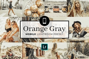 【PS/LR预设】1款ins风橙金中性灰高级色调PS_ACR/LR预设 Orange Gray Lightroom Preset