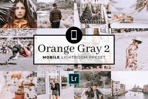 【LR预设】1款ins风橙金中性灰高级色调 Lightrooms 手机预设 Mobile Lightroom Preset OrangeGray2