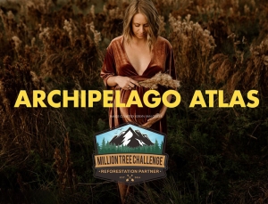 【LR胶片预设】胶片部落群岛最新胶片预设-Atlas系列 Archipelago Atlas Lightroom Presets
