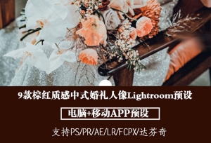 【调色预设】9款棕红质感婚礼LR预设中式婚礼微电影跟拍视频PS人像APP滤镜PR达芬奇FCPX调色LUT