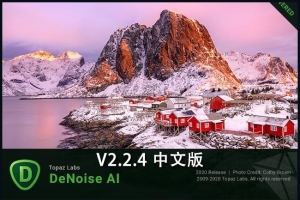 【软件/PS插件】图片人工智能降噪去颗粒处理软件 Topaz DeNoise AI v2.2.4 Win&Mac汉化版
