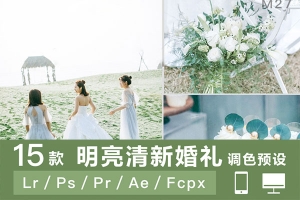 【调色预设】15款婚礼人像跟拍小清新唯美效果调色预设LR预设FCPX达芬奇PS/PR等LUT调色