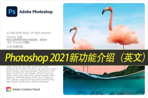 【视频教程】Photoshop 2021 新功能介绍及初学者实例指南视频教程