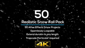 【AE模板】50种下雪天气真实雪花飞舞场景合成特效 Realistic Snow Falls Project Pack