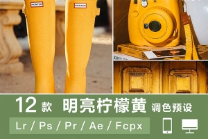 【调色预设】12款柠檬黄色ins人像街拍风景调色PS预设PR/FCPX/达芬奇/AE/手机Lr调色LUTS预设