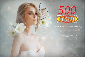 【调色预设】500个梦幻童话时尚婚礼情感食物发光森林爱情LUTS调色预设 Eldamar Studio – 500 Professional LUTs