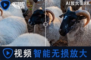 【软件】人工智能视频增强画质无损放大软件 Topaz Video Enhance AI v1.7.1 Win汉化版