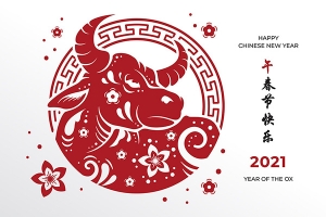【矢量素材】一组2021新年快乐横幅与数字矢量素材合集