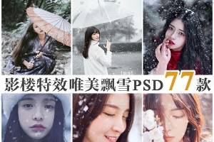 【图片素材】影楼后期特效婚纱照写真平面设计飘雪飞雪雪花PS笔刷模板