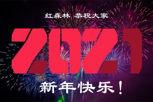 【PR模板】12组现代设计2021新年快乐文字标题动画Pr模板 Modern New Year Typography