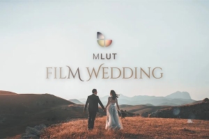 【调色预设】25种欧美婚礼电影风格LUTS调色预设 motionVFX – mLUT Film Wedding